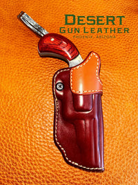 NAA IWB Holster