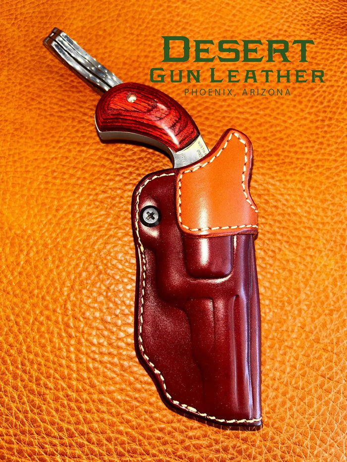 NAA IWB Holster
