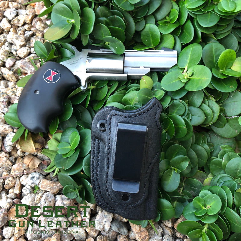NAA IWB Holster