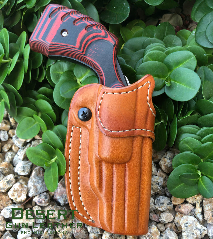 NAA Paddle Holster