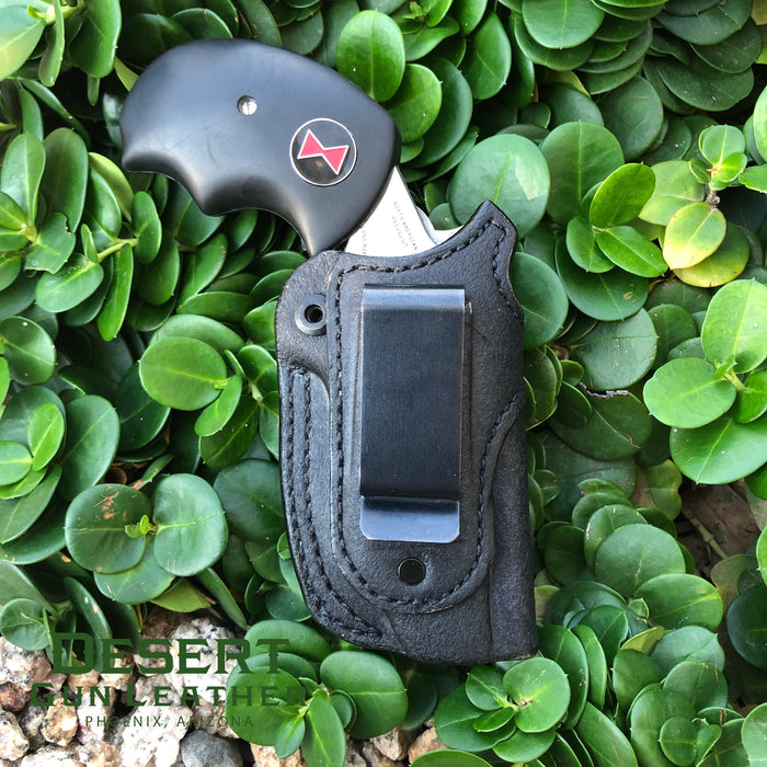 NAA IWB Holster